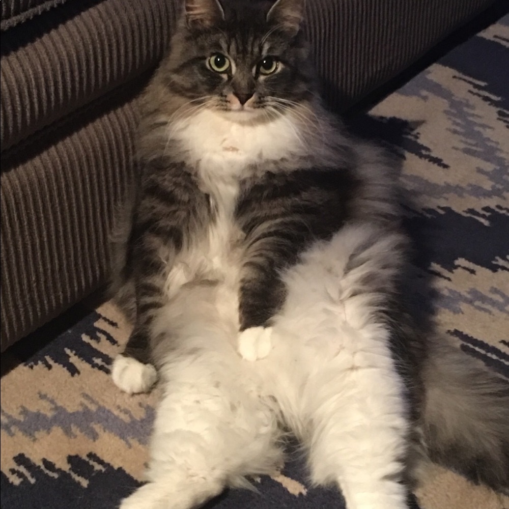 Meet your Posher, Heather